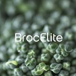 Broc Elite discount code